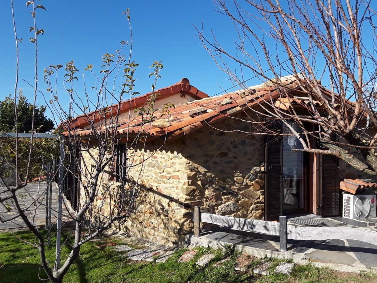 A Casa Do Moinho Leilighet Pedrógão Pequeno Eksteriør bilde